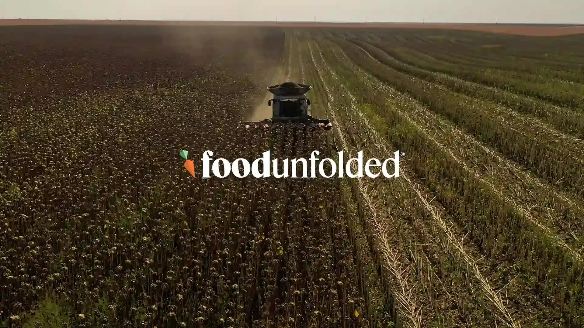 Food Unfolded Banner