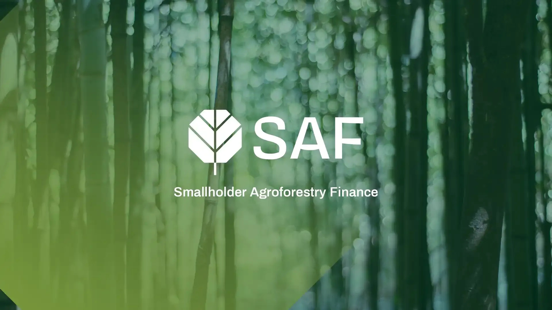 SAF Brand Identity